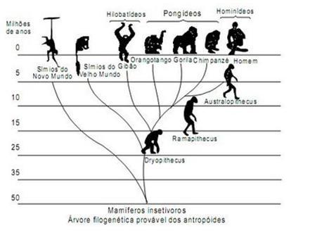 A Evolução dos Elementos Estéticos ao Longo das⁢ Décadas